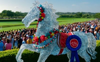 Experience the Thrill of the Sparkling Water Horse Durban July Race Day Extravaganza